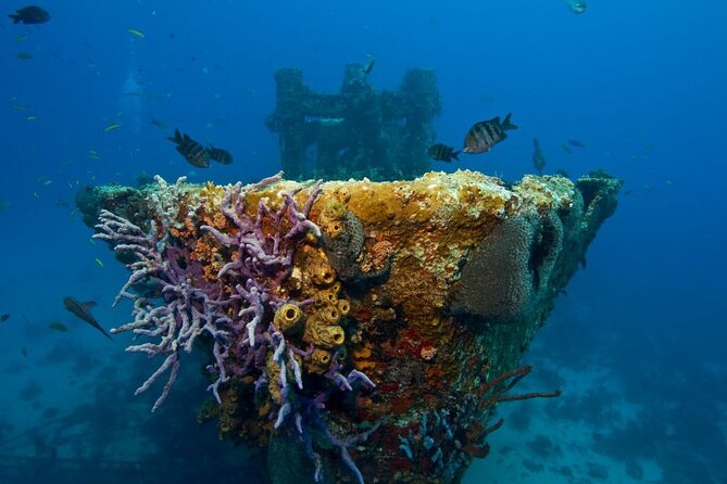 Aruba One or Two Tank Scuba Dive - Who will enjoy this most