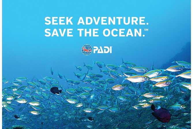 Aruba PADI Scuba Diving Program Non Certified Divers - Why the four-person limit matters