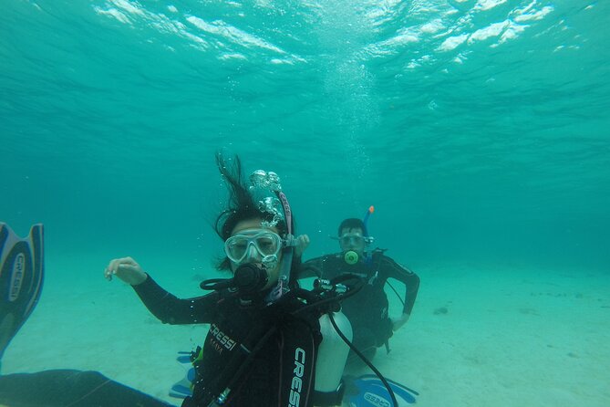 Aruba PADI Scuba Diving Program Non Certified Divers - Getting there, pickup, and timing