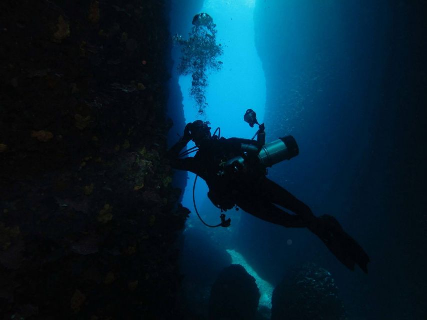Athens: Adventure Dives in Nea Makri for Certified Divers - Safety details that should shape your plans