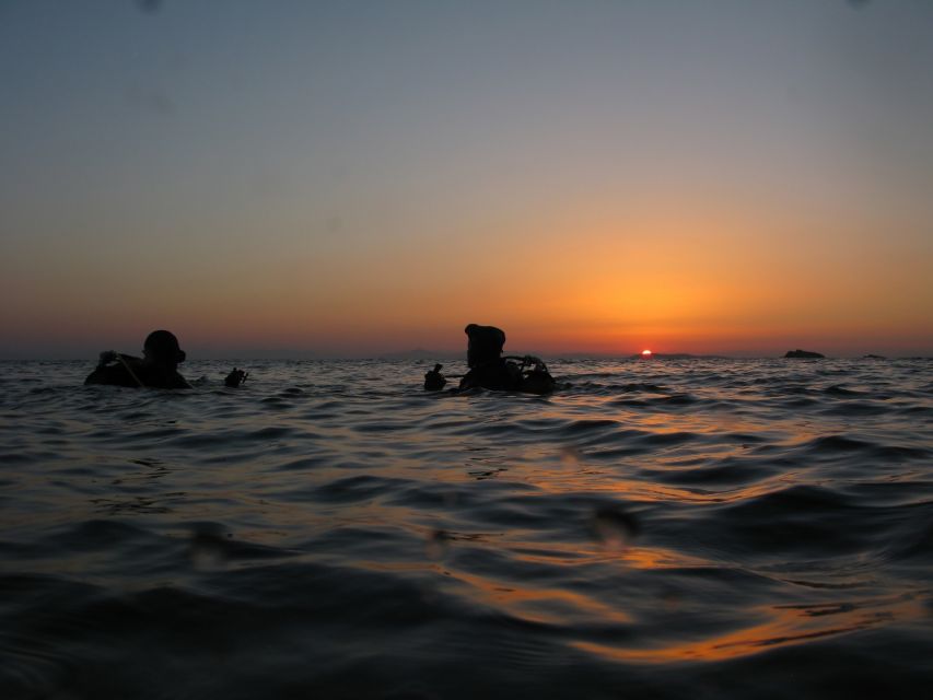 Athens: Adventure Dives in Nea Makri for Certified Divers - Who should book this Nea Makri scuba trip?