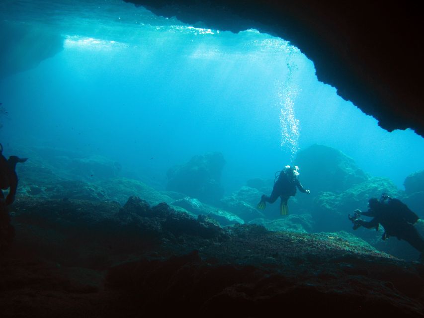Athens: Adventure Dives in Nea Makri for Certified Divers - Choosing between a shore session and a boat outing