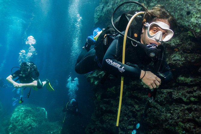 Athens Scuba Diving Experience for Certified Divers with Pickup - What you may see underwater