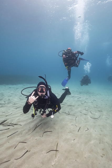 Athens: Single or Double Scuba diving for certified divers - Photos and video after the underwater session