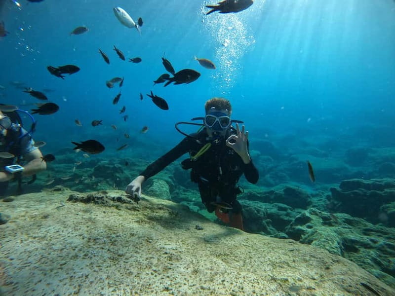 Ayia Napa: Beginners Discover Scuba Diving Experience - Starting with a calm introduction to scuba