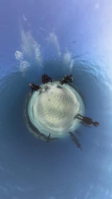 Ayia Napa: Musan Underwater Museum Scuba Dive - Key points before you book