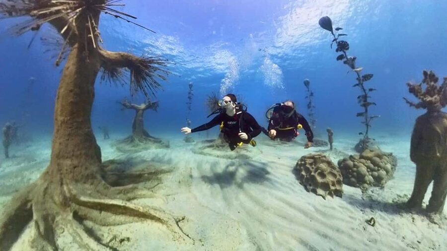 Ayia Napa: Musan Underwater Museum Scuba Dive - What the equipment and water setup include