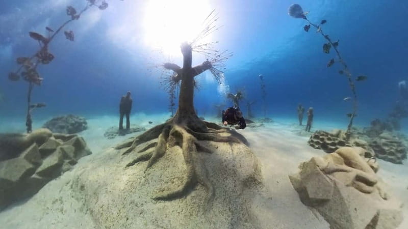 Ayia Napa: Musan Underwater Museum Scuba Dive - Entering the underwater forest