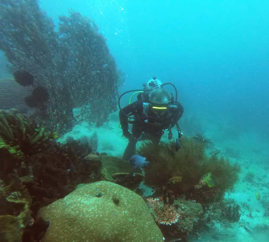 Bali: 2-Day PADI Advanced Open Water Course - What $339 buys you in two full days