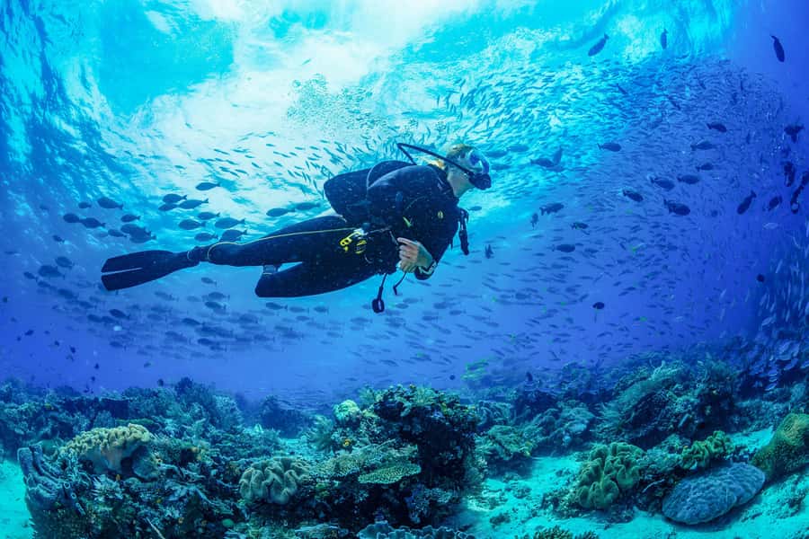 Bali: 3-Days PADI Open Water Diving Course - Day two: Blue Lagoon at Padang Bai