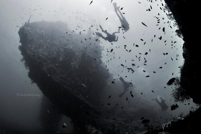 Bali Diving Day Trip-Manta Point/Tulamben Shipwreck-Fun Dive - Why the USAT Liberty works for first-time scuba