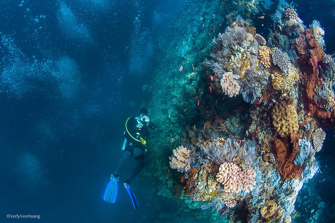 Bali Diving Day Trip-Manta Point/Tulamben Shipwreck-Fun Dive - Reaching the wreck by shore