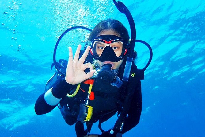 Bali Diving for Beginners: Tulamben Liberty Wreck - Coral Garden or the Drop Off comes first