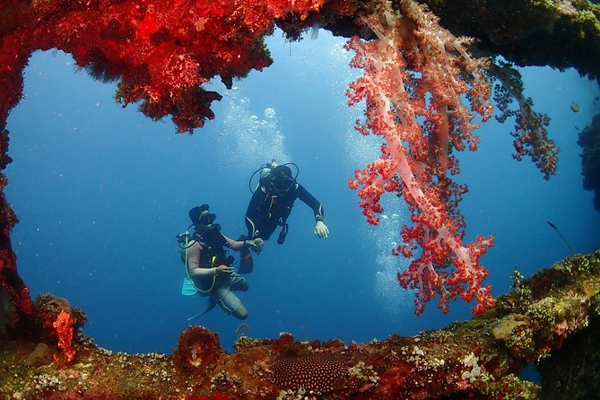 Bali Diving for Beginners: Tulamben Liberty Wreck - Visiting the USAT Liberty Wreck
