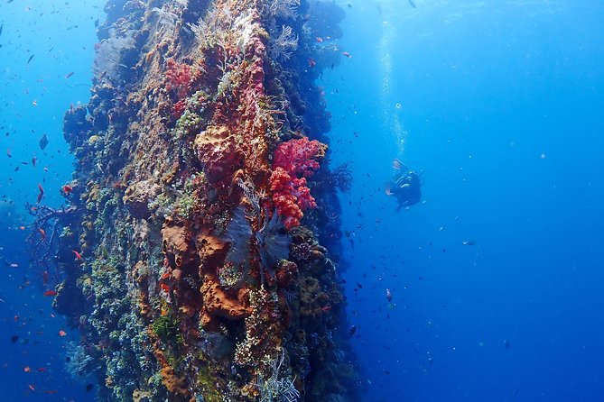 Bali Diving for Beginners: Tulamben Liberty Wreck - Lunch and the practical comforts