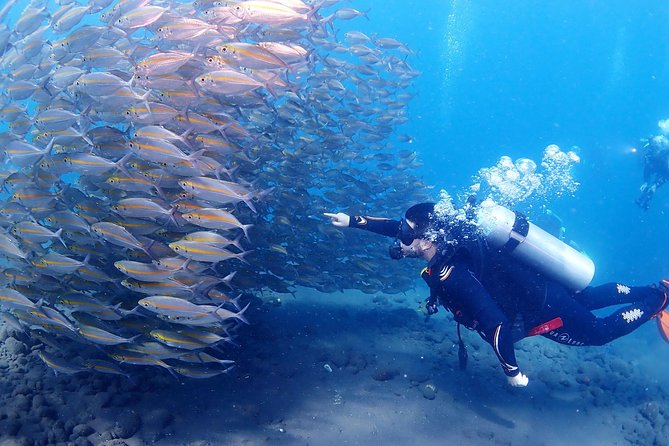 Bali Diving for Beginners: Tulamben Liberty Wreck - Who should book this experience?