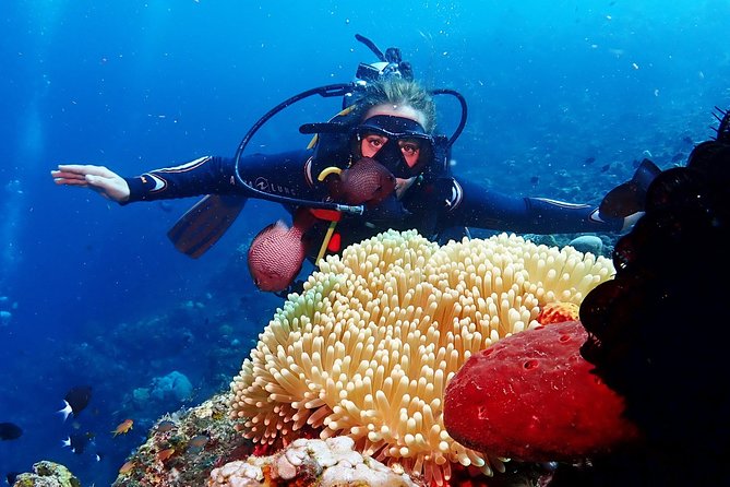 Bali Diving for Beginners: Tulamben Liberty Wreck - Small details that make a big difference