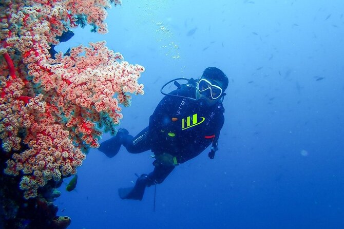 Bali Full Day Experience Scuba Diving Tour at Tulamben - Starting at Noble Resort & Dive Center
