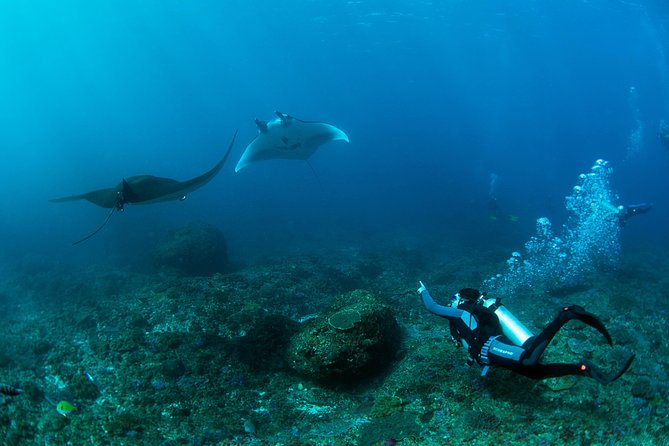 Bali Hai - PADI Advance Open Water Course in Lembongan - Key details to know before booking