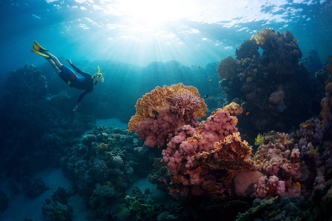 Bali Hai - PADI Advance Open Water Course in Menjangan - What happens during the two days