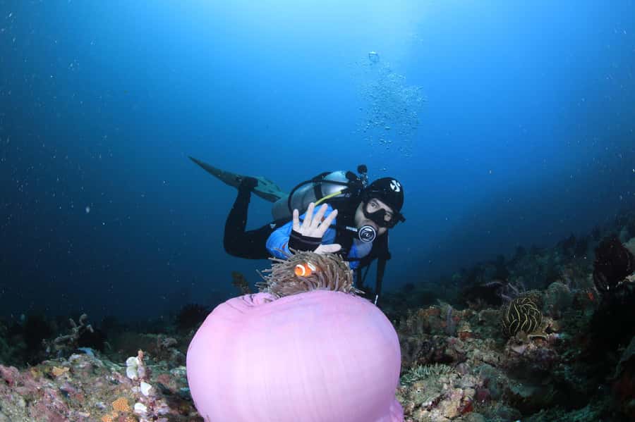 Bali/Nusa Penida: 3 Fun Dives to Manta Point, Mola & Reef - Pickup choices and timing