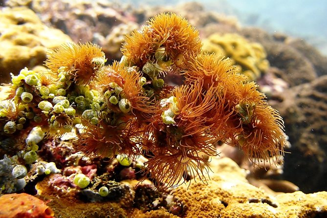 Bali Scuba Diving at Padang Bai for Certified Diver - Lunch beside the boat launch