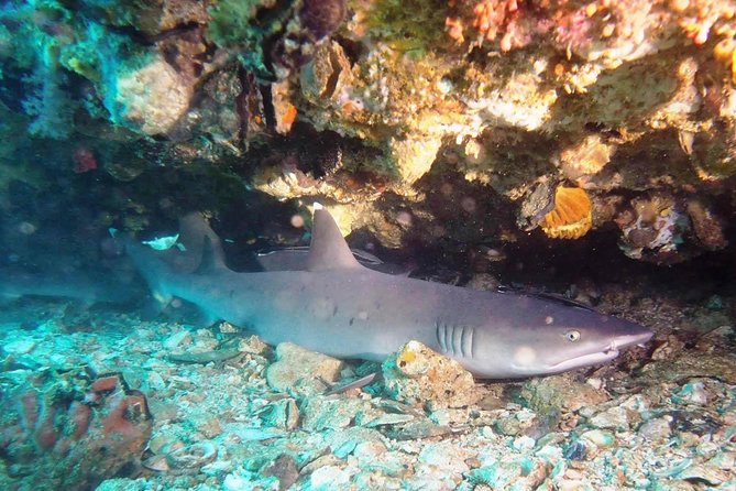 Bali Scuba Diving at Padang Bai for Certified Diver - The road to Padang Bai and preparation