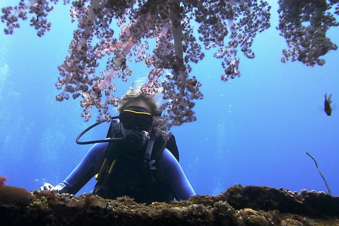 Bali Scuba Diving trip at Tulamben for Certified Diver - Getting ready at the Tulamben shore