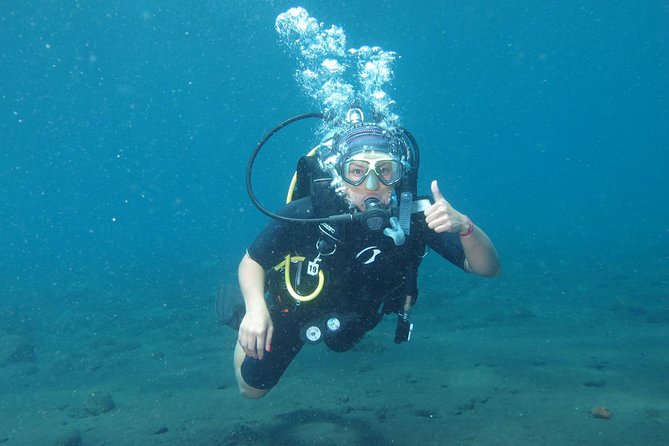 Bali Scuba Diving trip at Tulamben for Certified Diver - The main weakness: road time and a fixed schedule