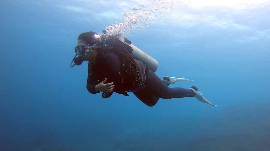 Bali: Try Scuba Diving day trip to Nusa Penida pool+2 dives - Should You Book the Nusa Penida Scuba Experience?