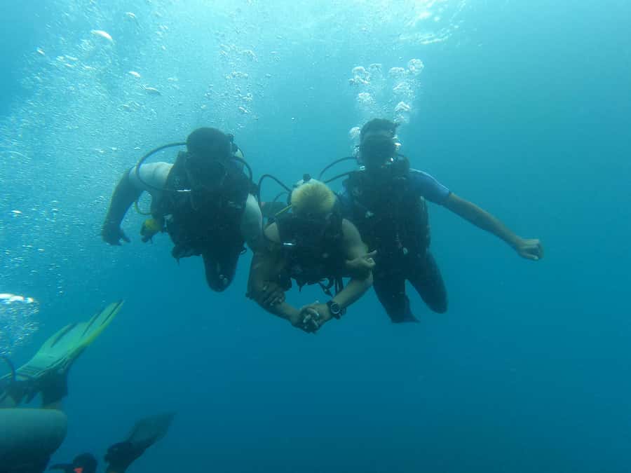 Bali: Try Scuba Diving day trip to Nusa Penida pool+2 dives - Lunch and Rest Between the Water Sessions