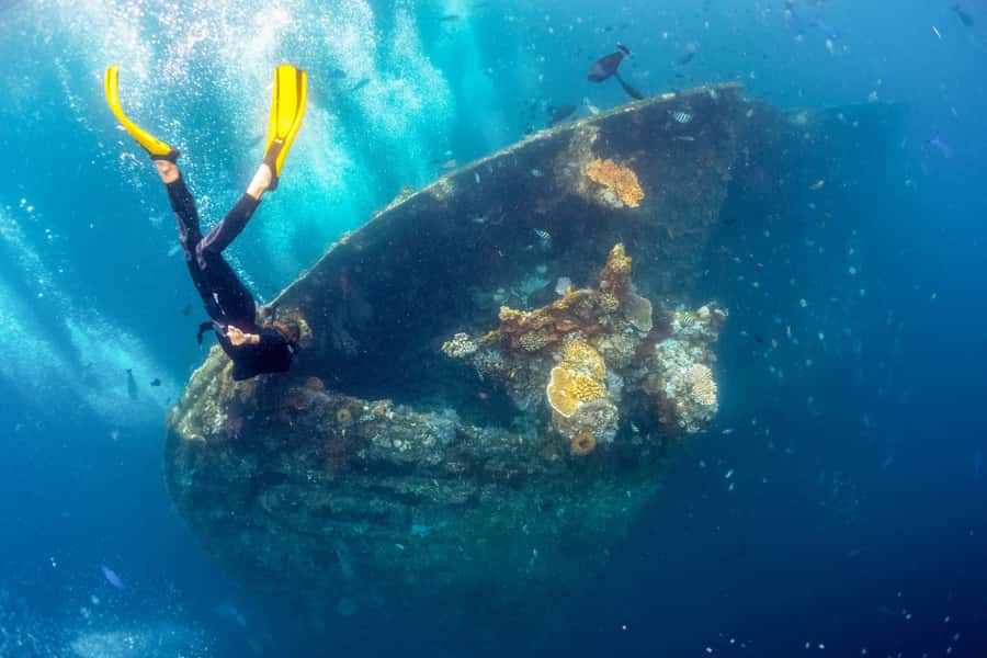 Bali: Tulamben Bay and the USAT Liberty Wreck Dive - What you can see around the Liberty