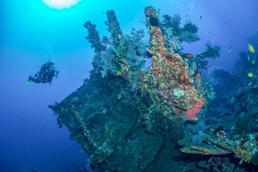 Bali: Tulamben Bay and the USAT Liberty Wreck Dive - Two sessions with lunch between them