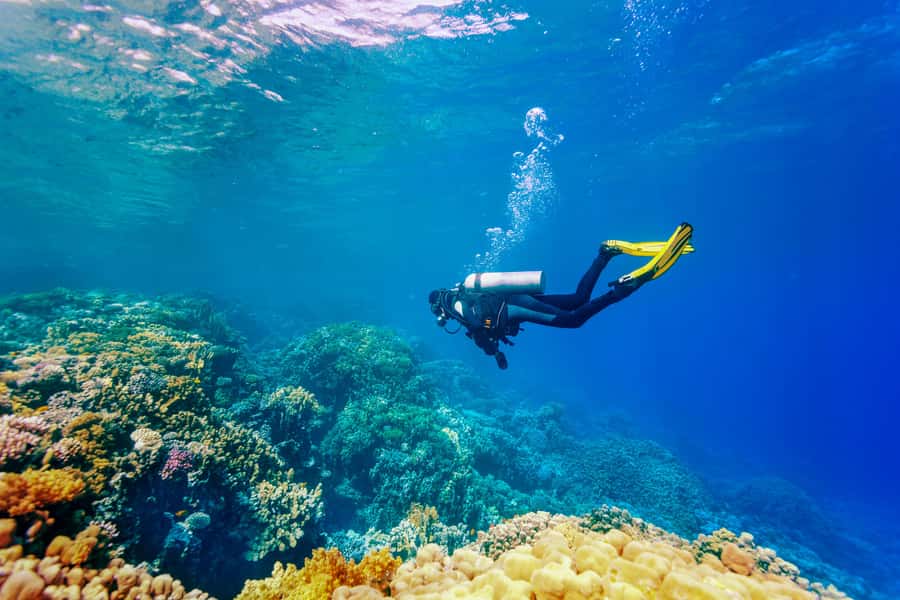 Bali: Tulamben Bay Beginner's Dive Experience - Key points to know before booking