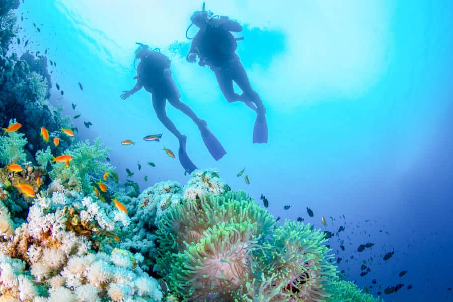 Bali: Tulamben Bay Beginner's Dive Experience - The early pickup and long road to the coast