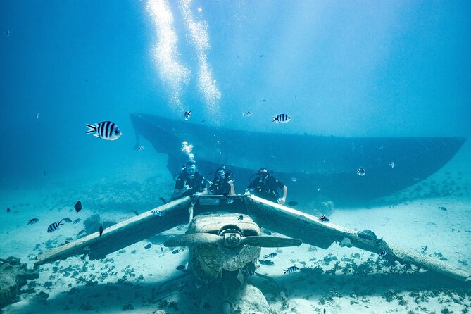 Baptism diving in the turquoise waters of Tahiti - Is the $157.90 price good value?