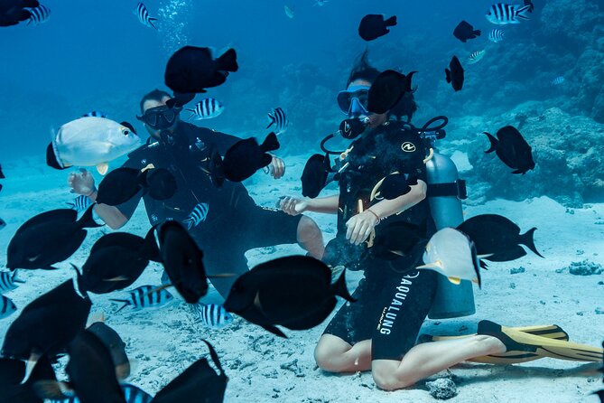 Baptism diving in the turquoise waters of Tahiti - Who will enjoy this Tahiti activity most