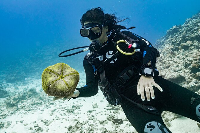 Baptism: introductory dive at Moorea Fun Dive - What the $145.76 price buys you