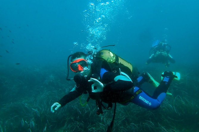 Baptism of diving from boat - From Santa Pola harbor to the open sea