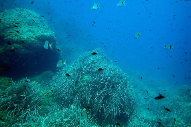 Baptism of diving from boat - What happens before you enter the water
