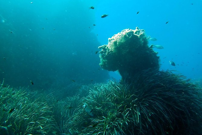 Baptism of diving from boat - Why the small group matters
