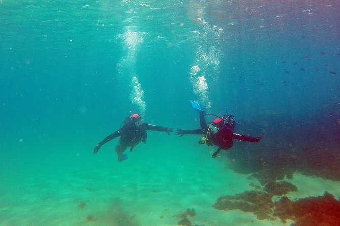 Baptism of diving in the Natural Park of the Strait - Entering sheltered water near the Strait