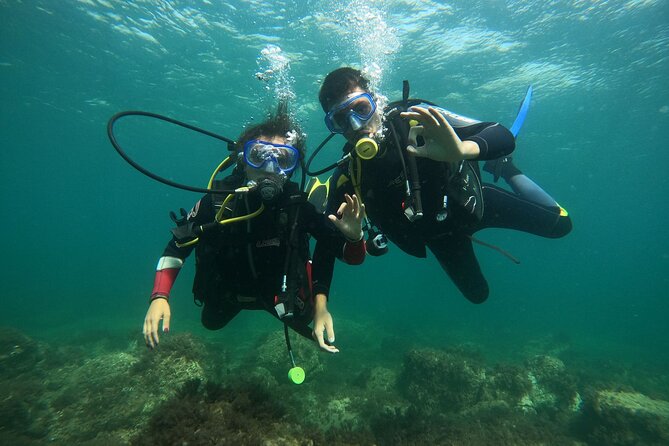 "Baptism of the Sea: Diving on the Island of Elba" - Key points to know before you book