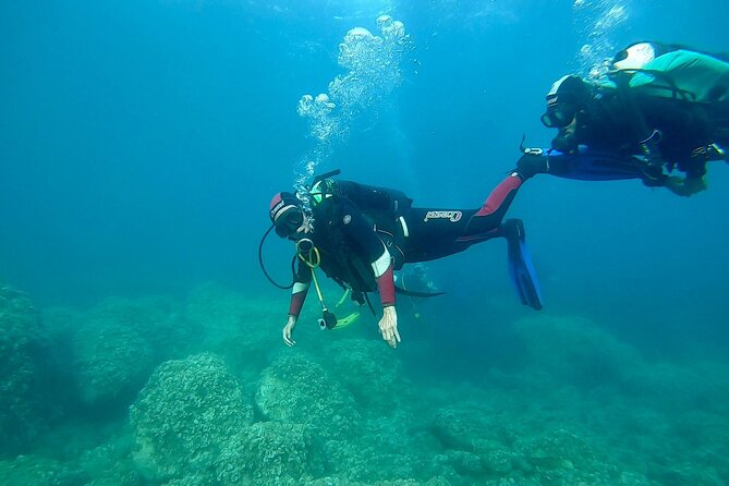 "Baptism of the Sea: Diving on the Island of Elba" - Practical details that can save your afternoon