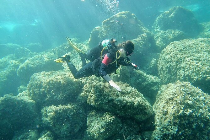 "Baptism of the Sea: Diving on the Island of Elba" - What makes the possible sites appealing