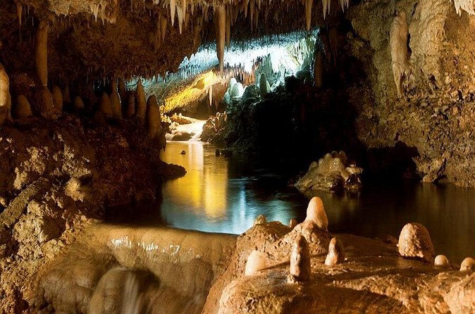 Barbados Harrison's Cave and Atlantis Submarine Dive Tour - Who will get the most from this tour
