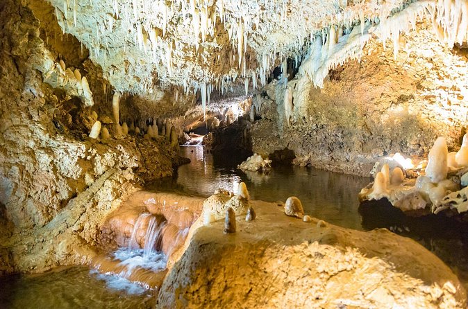 Barbados Harrison's Cave and Atlantis Submarine Dive Tour - Is the $260 price fair?
