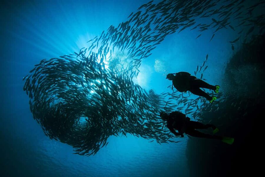 BARCELONA: SCUBA DIVING INITIATION - Dive in and experience underwater adventures - 2 hours - Key points to know before booking