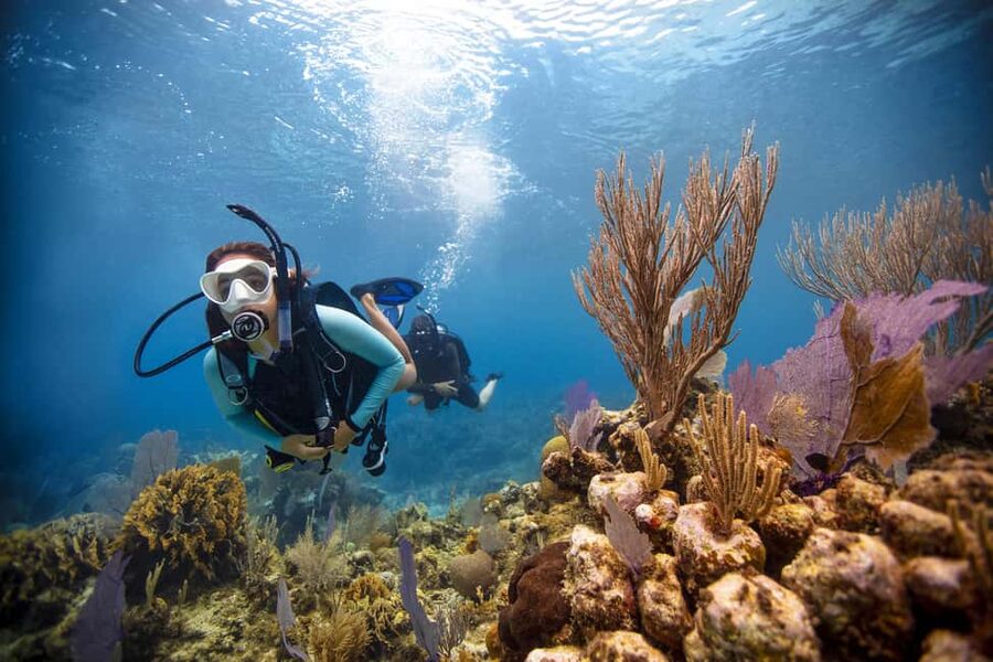 BARCELONA: SCUBA DIVING INITIATION - Dive in and experience underwater adventures - 2 hours - A short route from Barcelona Diving Club to the sea