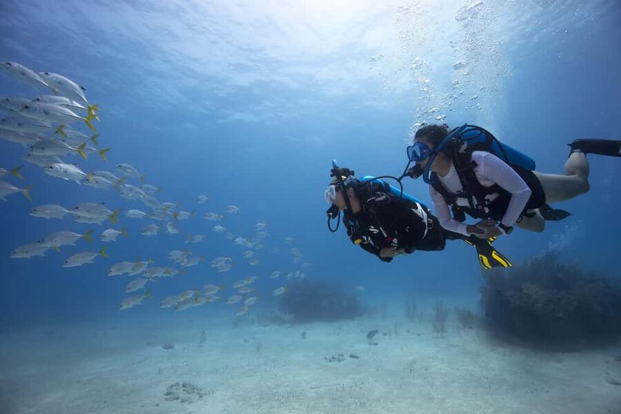 BARCELONA: SCUBA DIVING INITIATION - Dive in and experience underwater adventures - 2 hours - Entering the Mediterranean from the beach